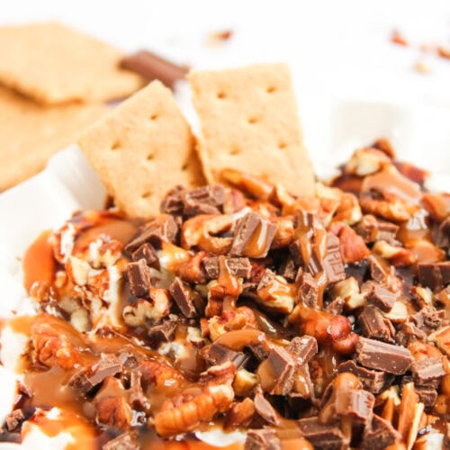 Turtle Cheesecake Dip