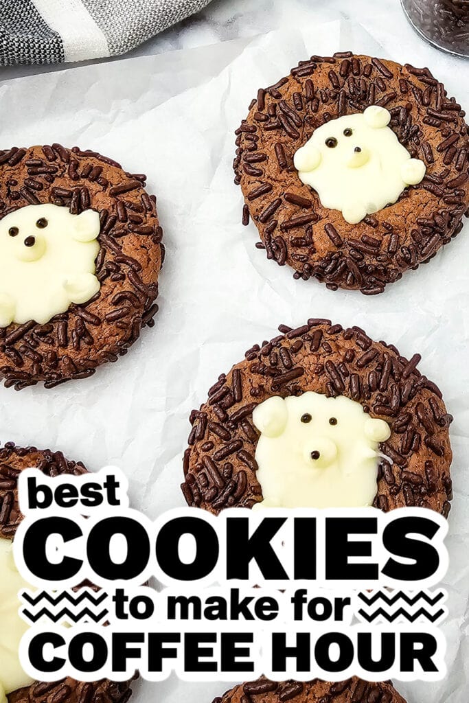cookies for coffee hour - Chocolate Cake Mix Hedgehog Cookies