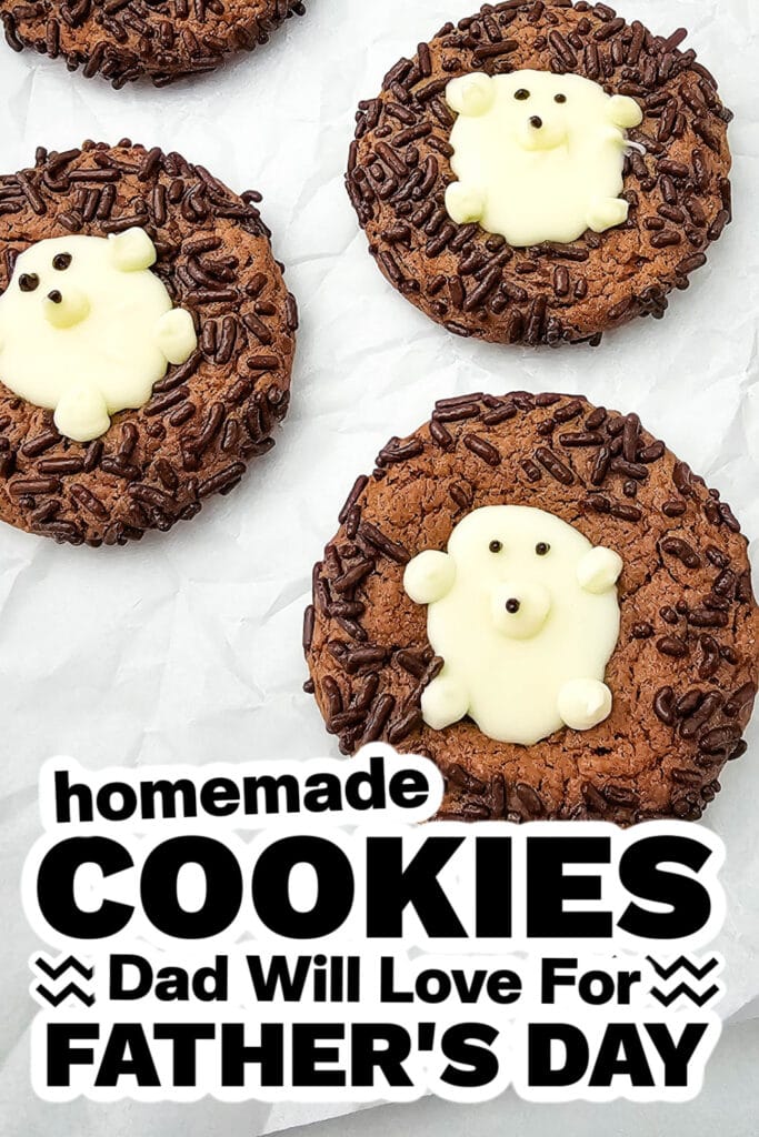 cookies for father's day - Chocolate Cake Mix Hedgehog Cookies copy