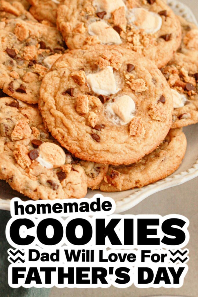 cookies for father's day - Marshmallow Chocolate Chip Cookies copy