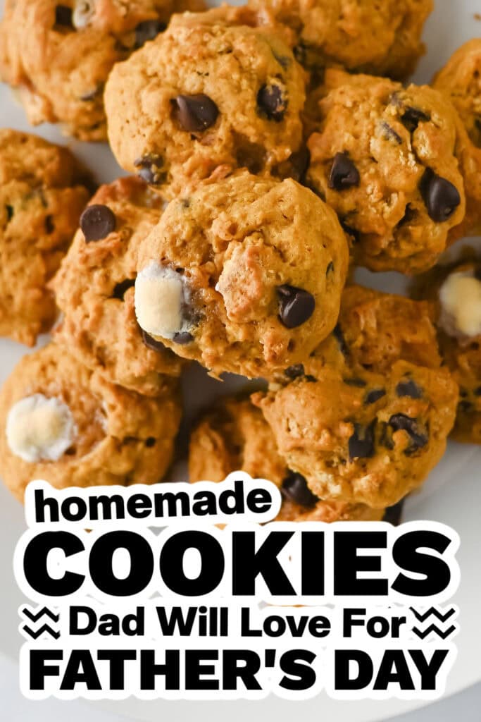 cookies for father's day - Soft Pumpkin S’mores Cookies copy