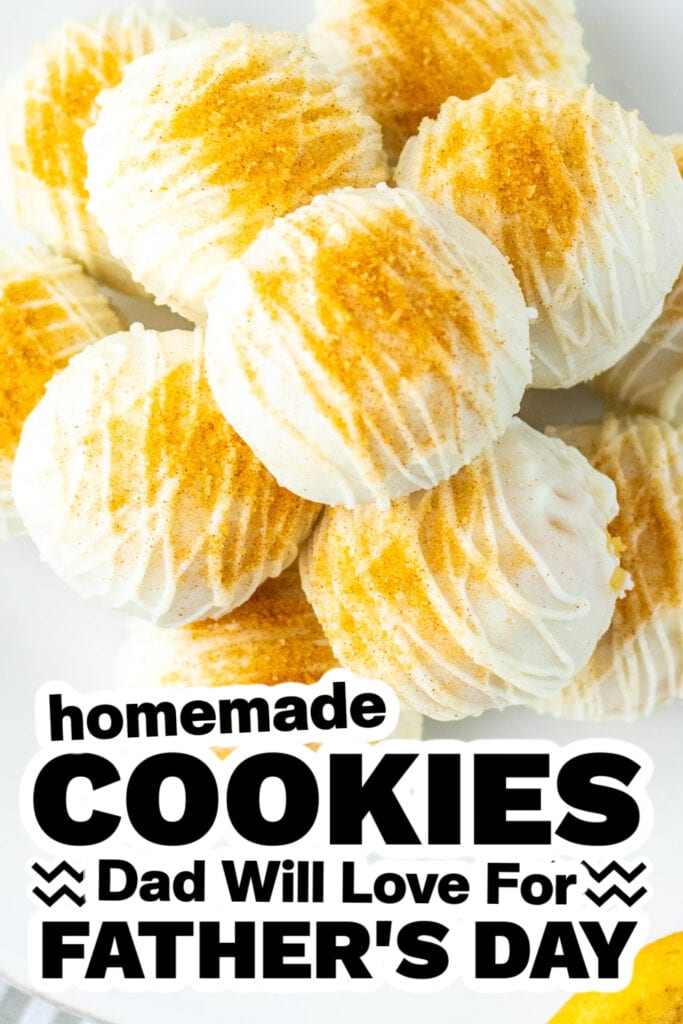 cookies for father's day - Soft Snickerdoodle Truffles copy