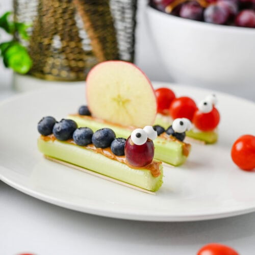 Celery Bug Snacks