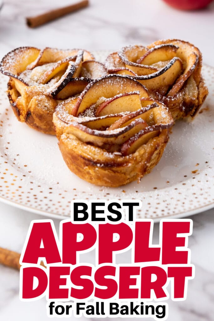 Apple Dessert Recipe-Apple Roses