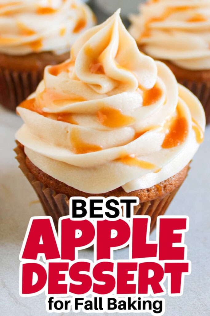 Apple Dessert Recipe-Apple Spice Cupcakes