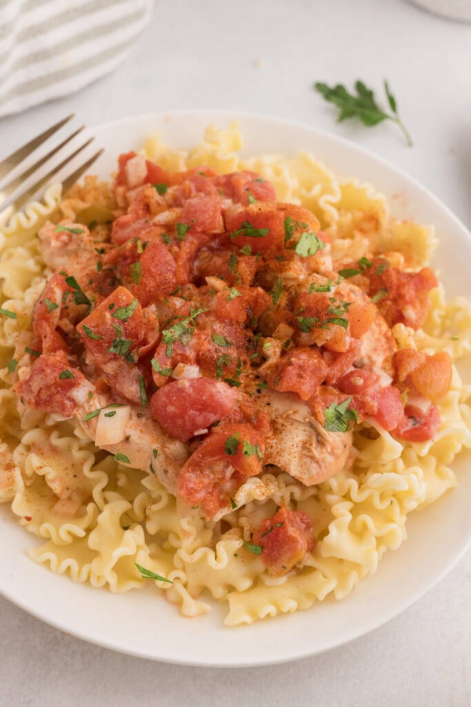 Slow Cooker Chicken Paprikas Process Photo