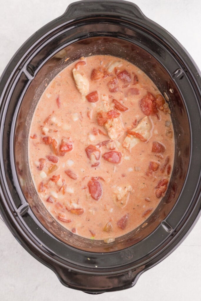 Slow Cooker Chicken Paprikas Process Photo