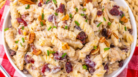 Cranberry White Cheddar Chicken Pasta Featured Image copy