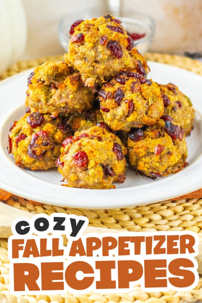 Fall Appetizers-Savory-Sweet Cranberry Turkey Stuffing Balls