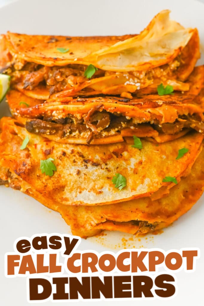 Fall Crockpot Dinner Ideas-Crockpot Birria Tacos