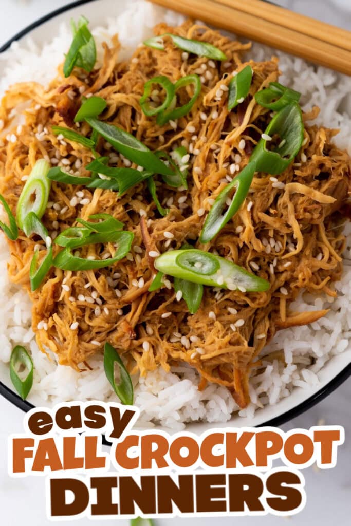 Fall Crockpot Dinner Ideas-Crockpot Soy Honey Garlic Chicken
