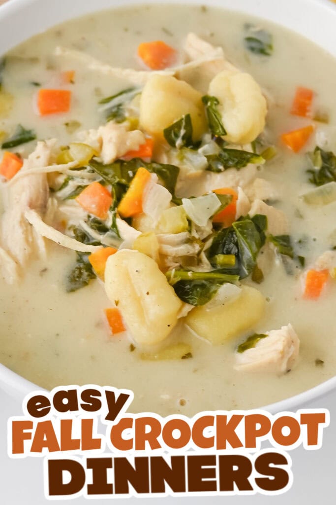 Fall Crockpot Dinner Ideas-Crockpot chicken gnocchi soup