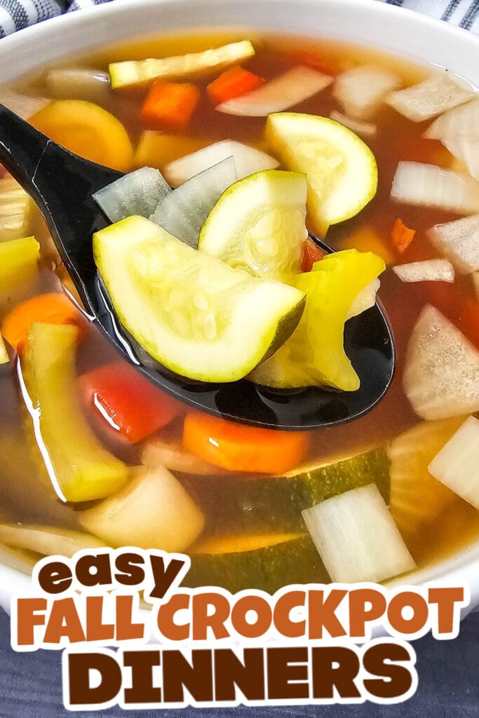 Fall Crockpot Dinner Ideas-Dump-and-Go Crockpot Summer Vegetable Soup