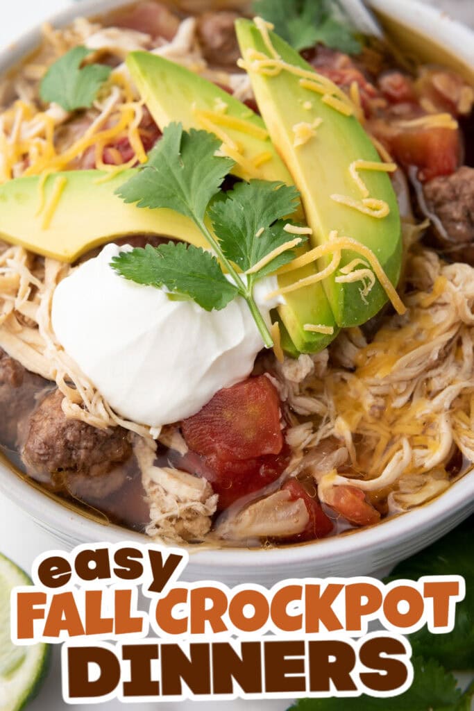 Fall Crockpot Dinner Ideas-One-Pot Chicken and Beef Taco Soup