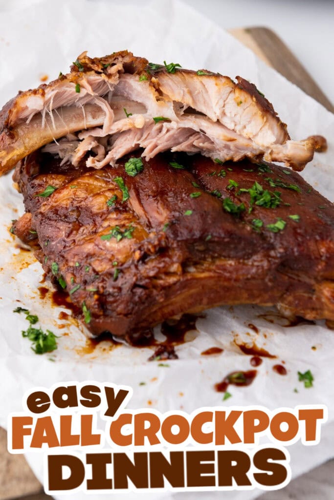 Fall Crockpot Dinner Ideas-Slow Cooker Honey Garlic Soy Spareribs