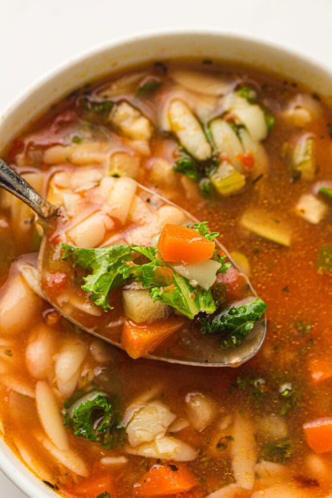 slow cooker minestrone