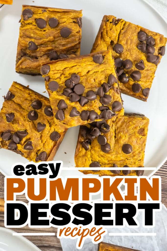 Pumpkin Dessert Recipes-Pumpkin Brownies