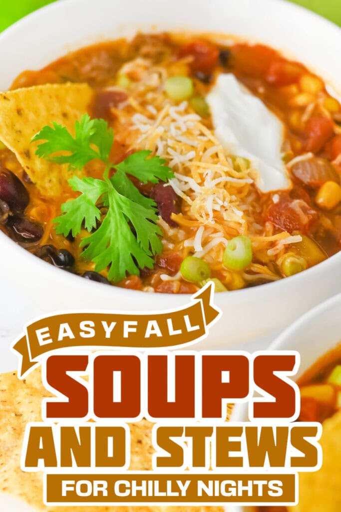 fall soups and stews -One-Pot Beef Taco Soup with Beans