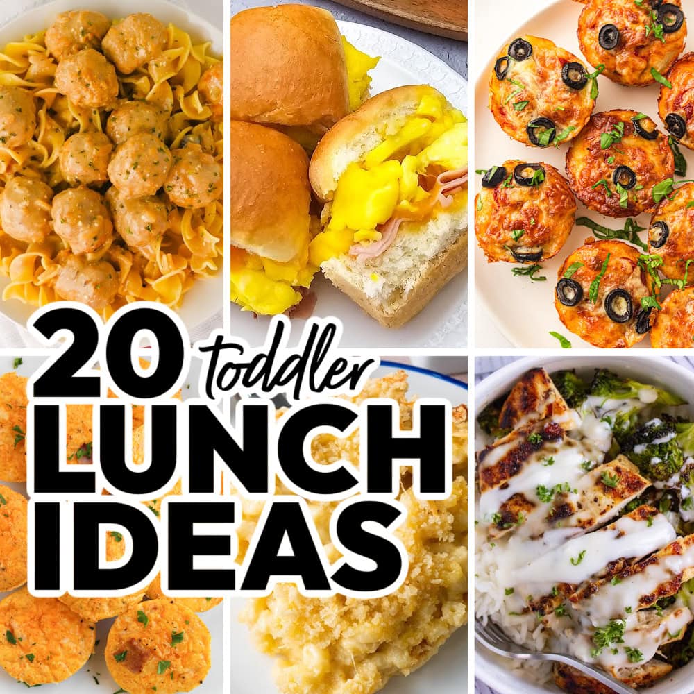 toddler lunch ideas featured image
