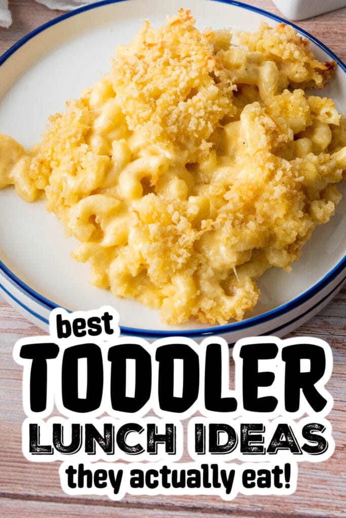 toddler lunch recipes - Creamy Baked Mac and Cheese