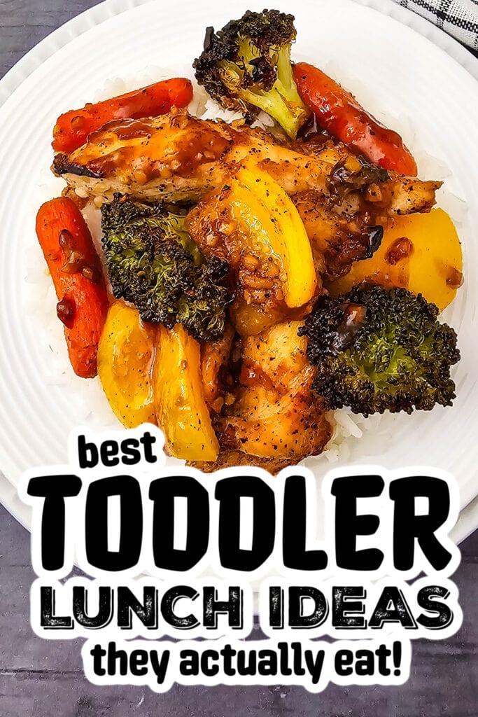 toddler lunch recipes - Sheet Pan Honey Garlic Chicken and Veggies
