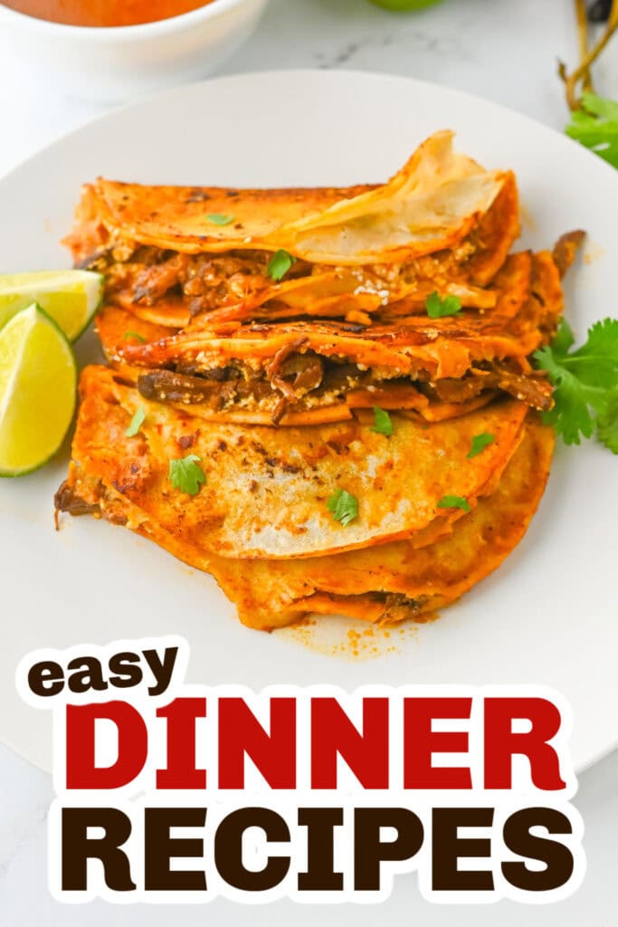 Easy Dinner Ideas-Crockpot Birria Tacos