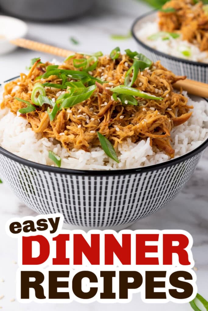 Easy Dinner Ideas-Crockpot Soy Honey Garlic Chicken