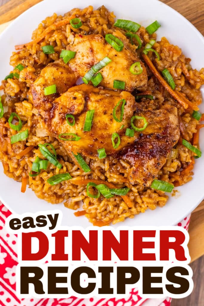 Easy Dinner Ideas-One Pan Japanese BBQ Chicken And Rice