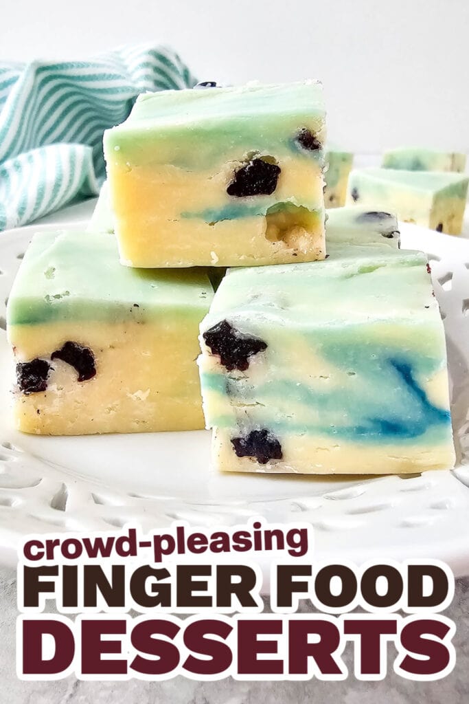Finger Food Desserts-Blueberry Fudge