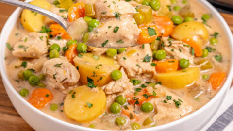 Slow Cooker Creamy Chicken Stew featured image copy