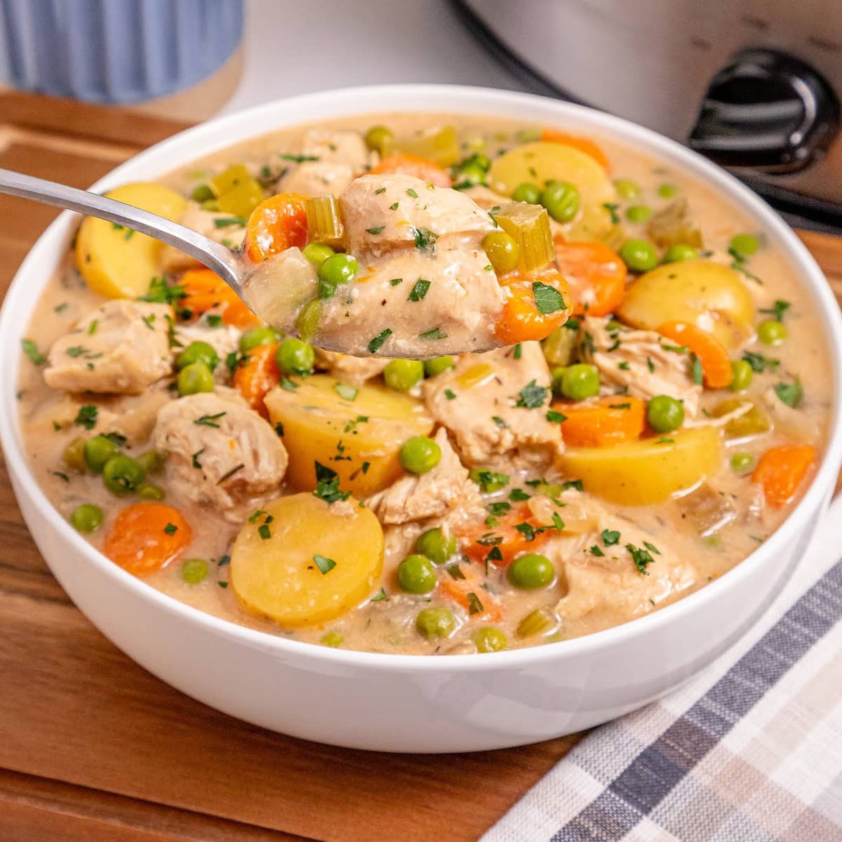 Slow Cooker Creamy Chicken Stew featured image copy