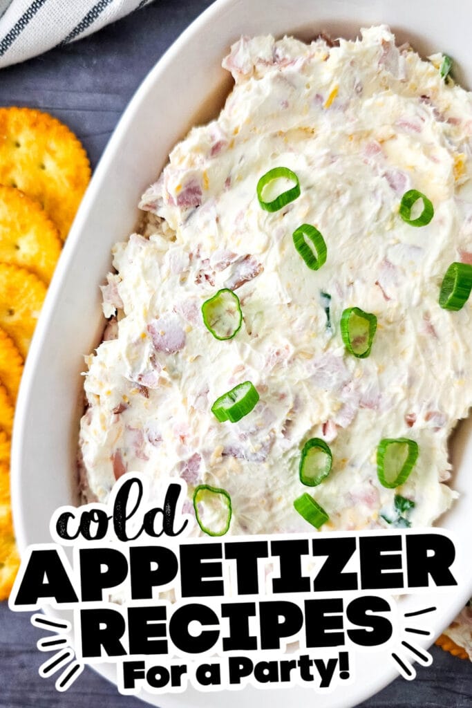 cold appetizer - Cold Cheesy Ham Dip