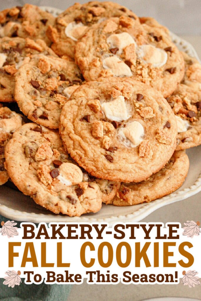fall cookies - S’more Cookies