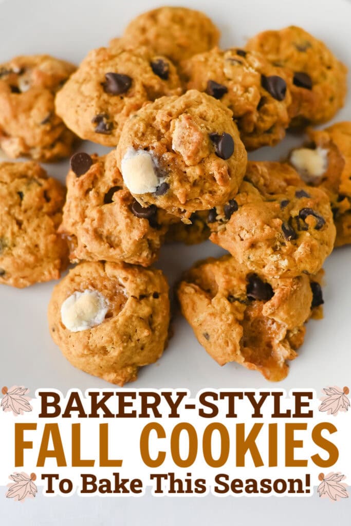 fall cookies - Soft Pumpkin S'mores Cookies