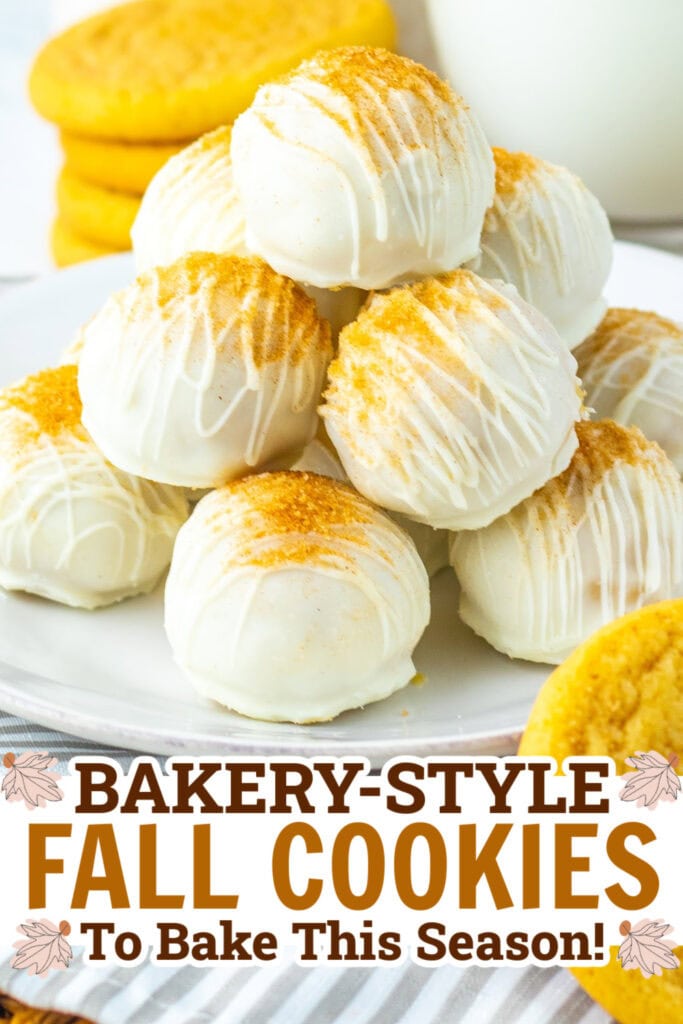 fall cookies - Soft Snickerdoodle Truffles