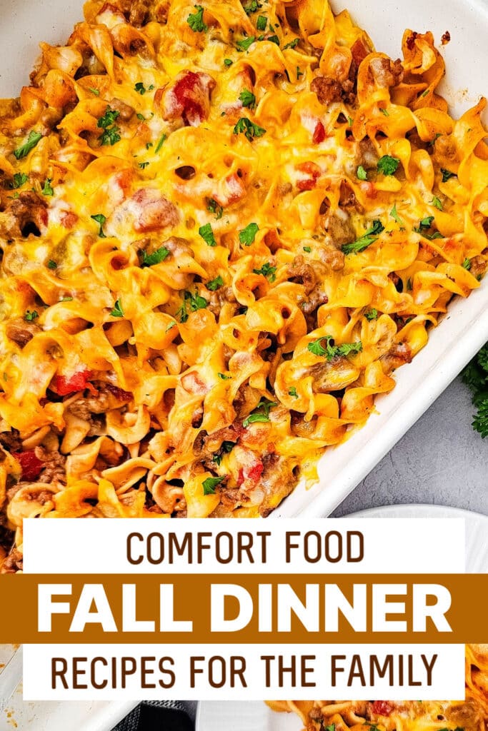 fall dinners - Beef Noodle Casserole