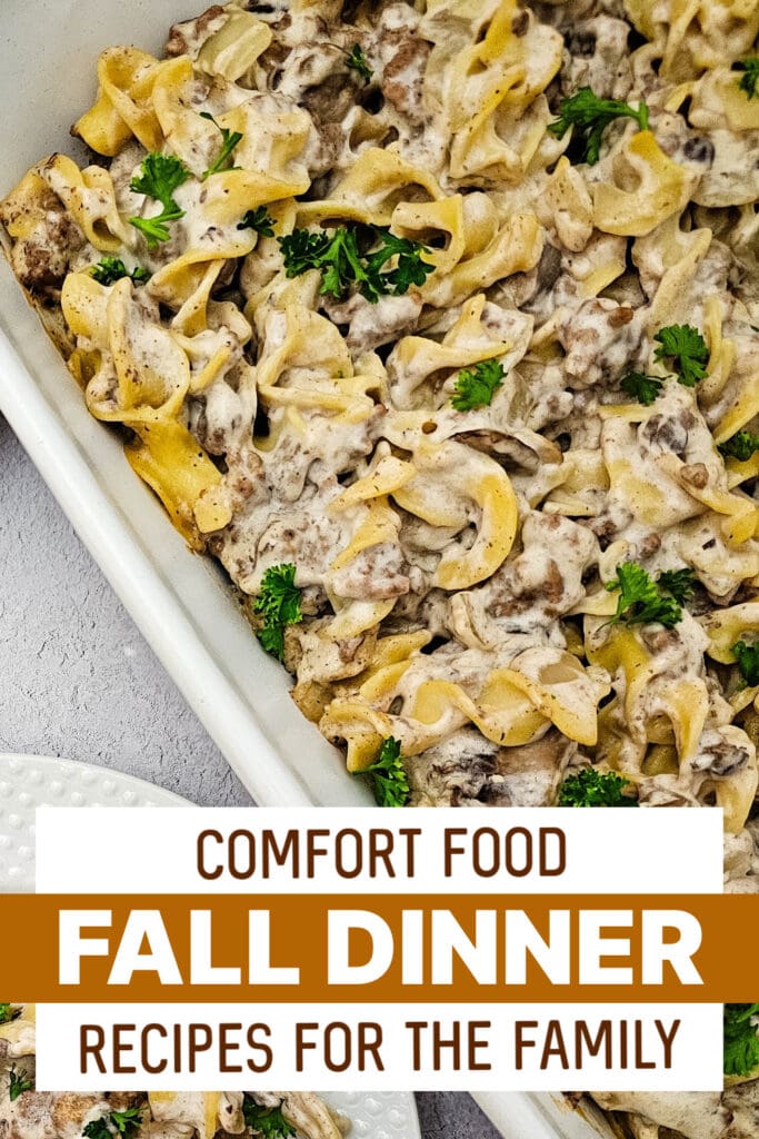 fall dinners - Cheesy Beef Stroganoff Casserole