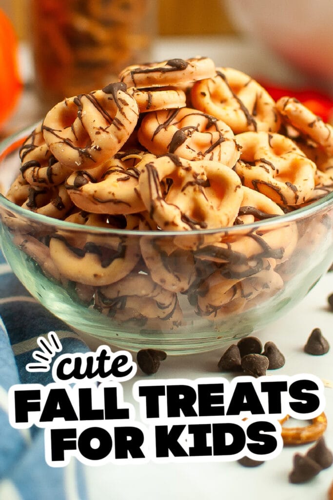 fall treats for kids - Pumpkin Spice Chocolate Dipped Pretzels