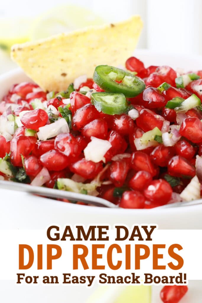 game day dips - Fresh Pomegranate Salsa