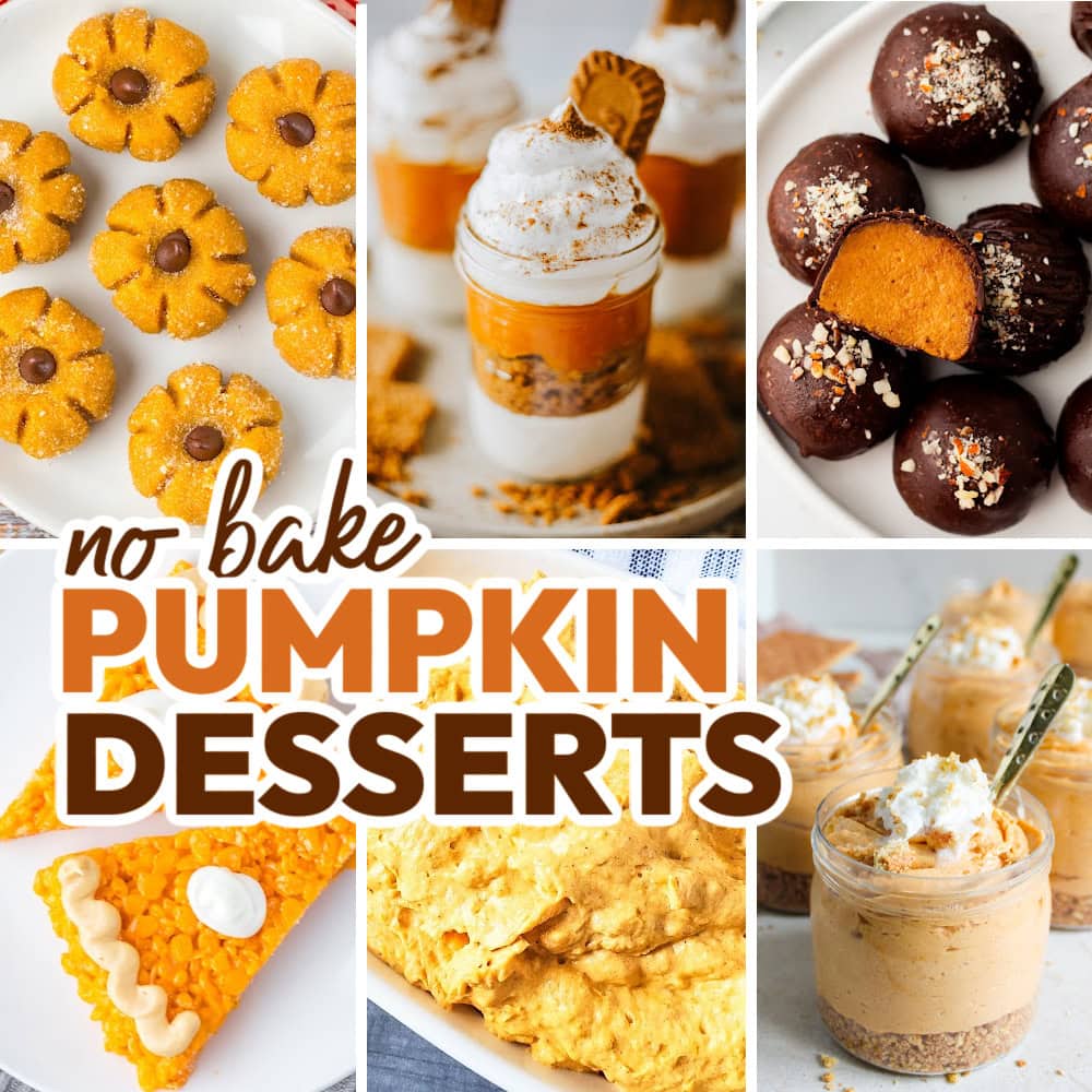 no bake pumpkin desserts (1)