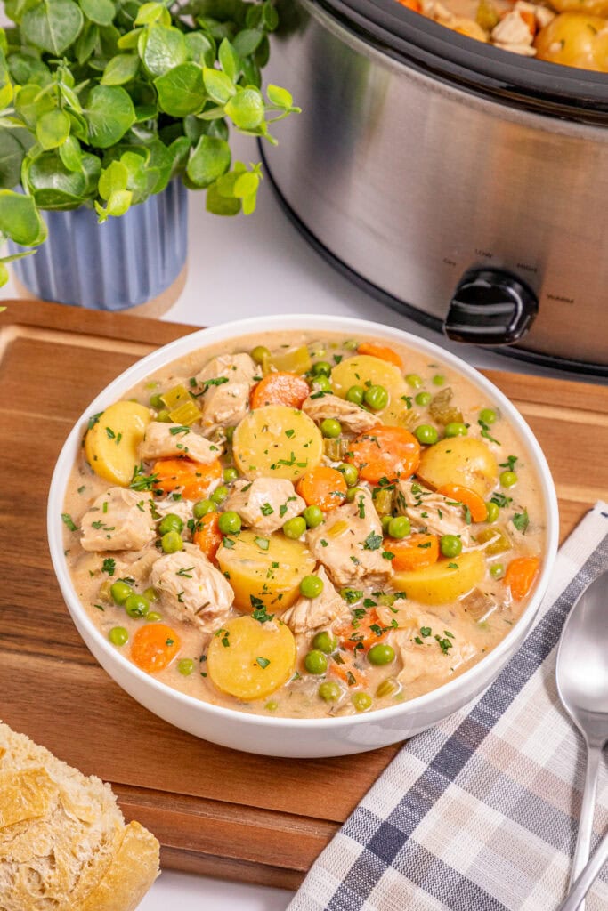 Slow Cooker Creamy Chicken Stew Process Photo
