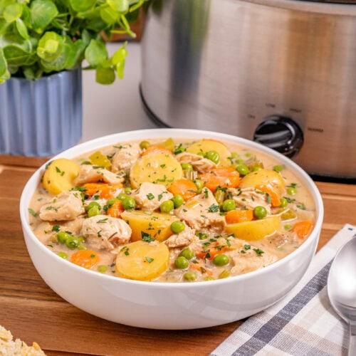 Slow Cooker Creamy Chicken Stew