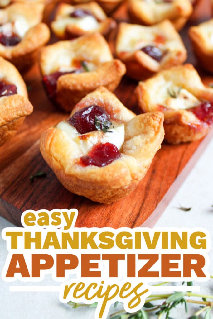 thanksgiving appetizer recipes - Cranberry Brie Bites copy