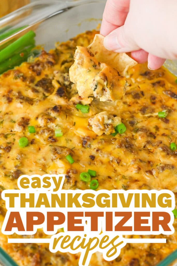 thanksgiving appetizer recipes - Hissy Fit Dip copy
