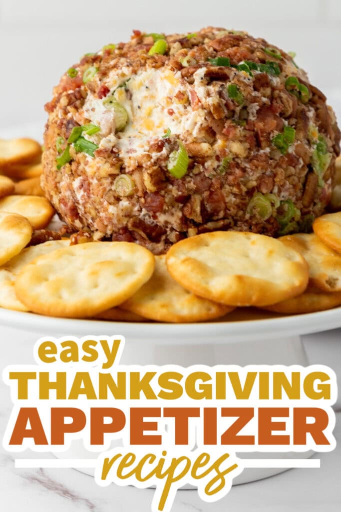thanksgiving appetizer recipes - Pecan Bacon Cheeseball copy