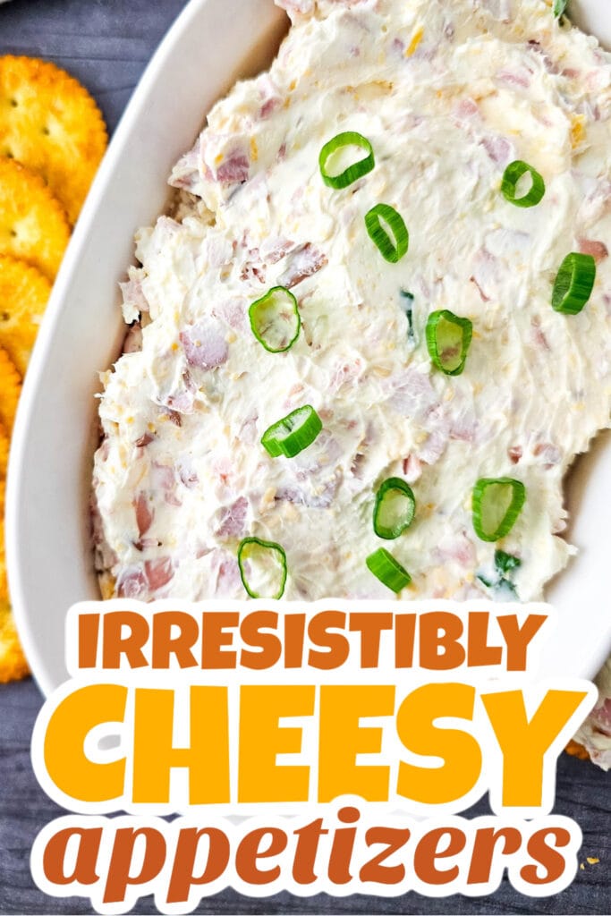 Cheesy Appetizer-Cheesy Ham Dip
