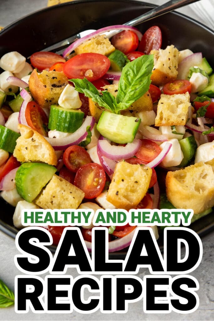Salad Recipes-Classic Panzanella with Mozzarella