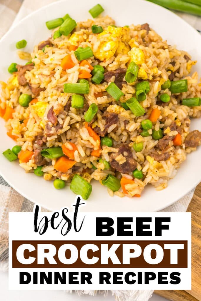 beef crockpot recipes - Slow Cooker Beef Fried Rice