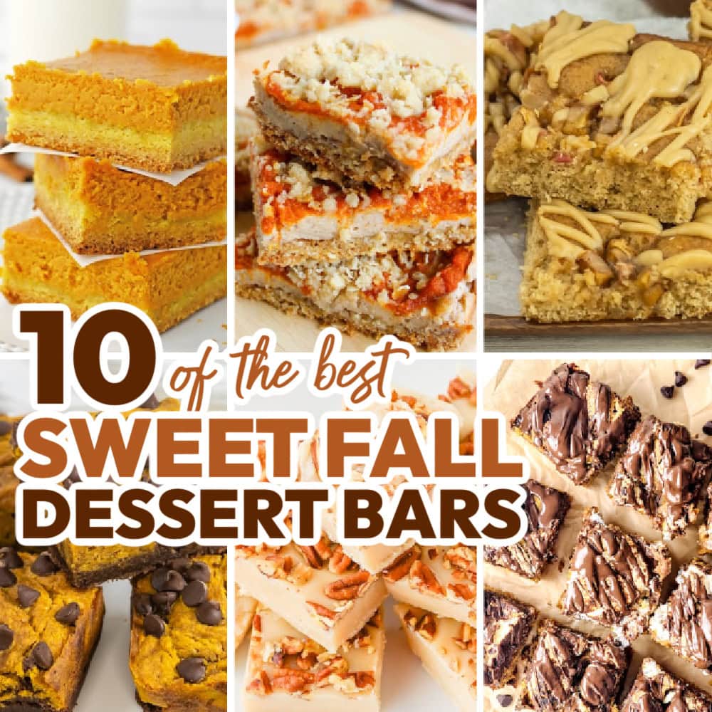 10 Fall Dessert Bar Recipes
