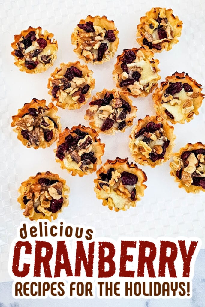 cranberry recipes - Baked Cranberry and Walnut Brie Bites in Phyllo Shells